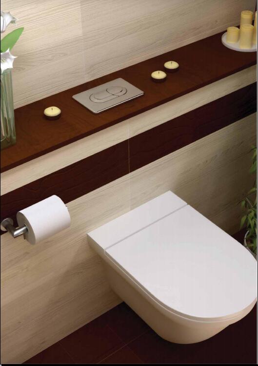 隱藏式水箱 隱藏式水箱