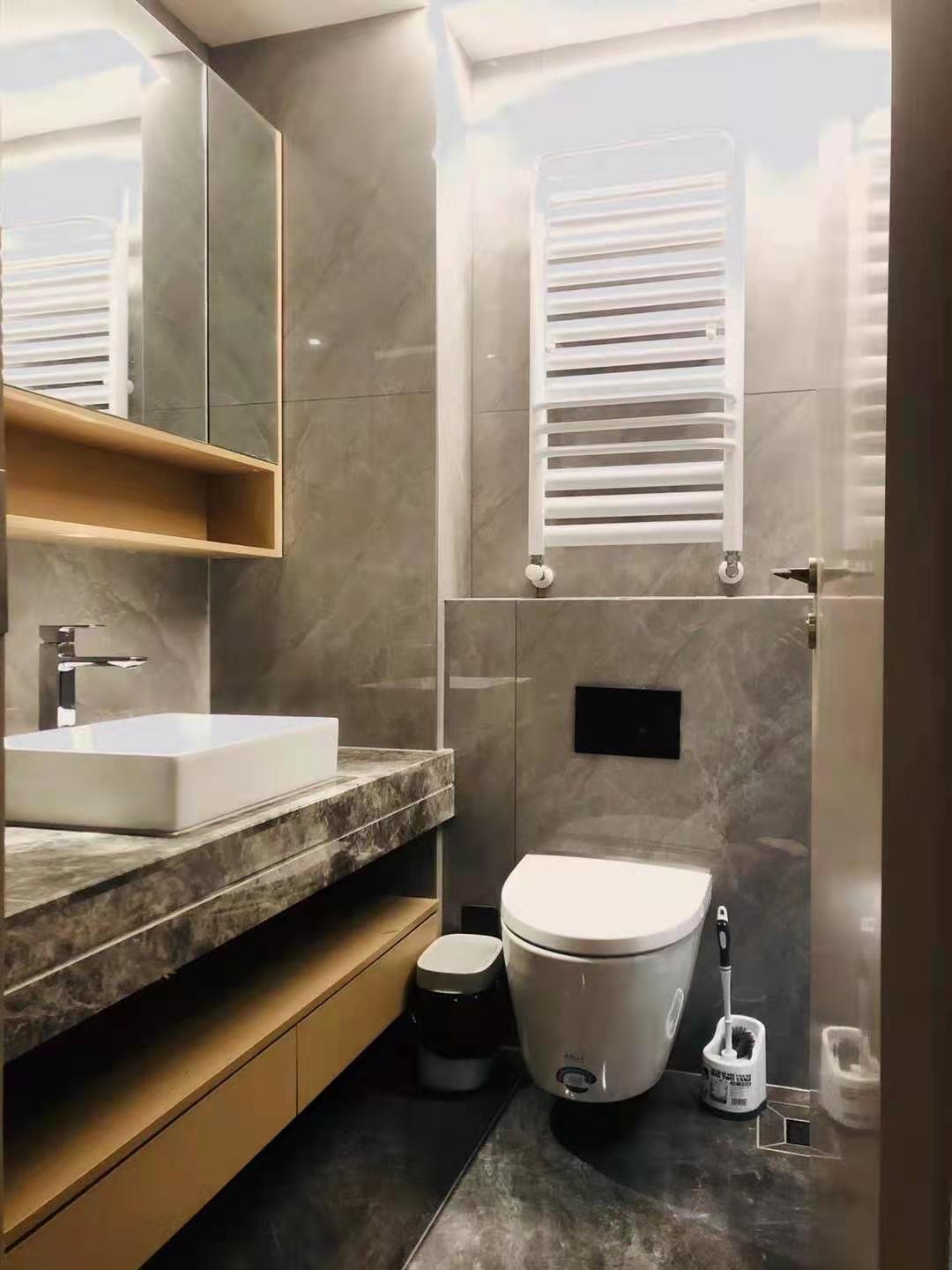 入墻式馬桶 入墻式馬桶