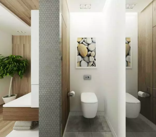 壁掛式馬桶 壁掛式馬桶