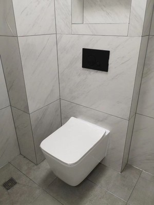 入墻式馬桶 入墻式馬桶