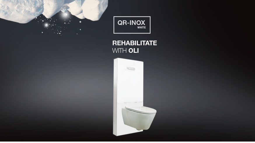 入墻式馬桶 入墻式馬桶